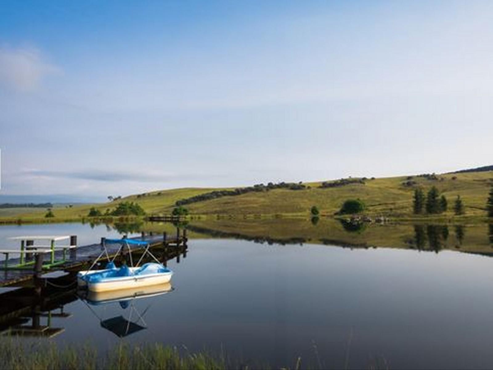 Serengeti Dullstroom Mpumalanga South Africa Nature