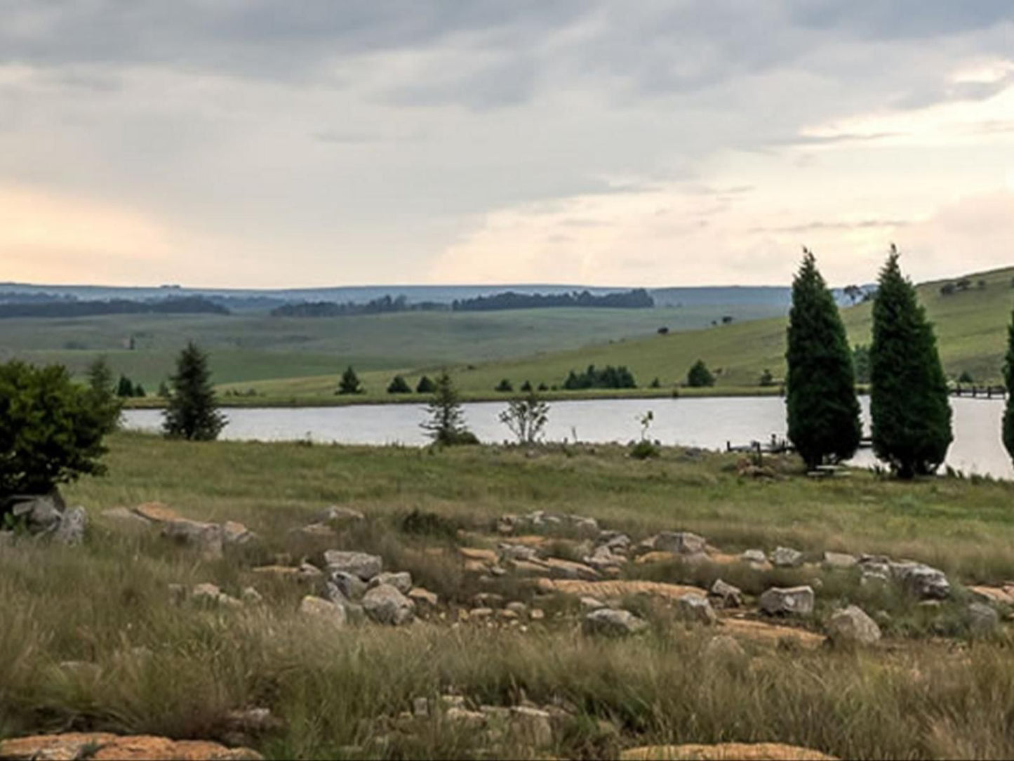 Serengeti Dullstroom Mpumalanga South Africa Tree, Plant, Nature, Wood, Lowland