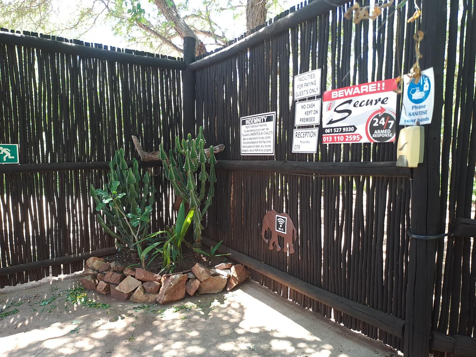 Serenity Bush Ballads, Gate, Architecture, Plant, Nature