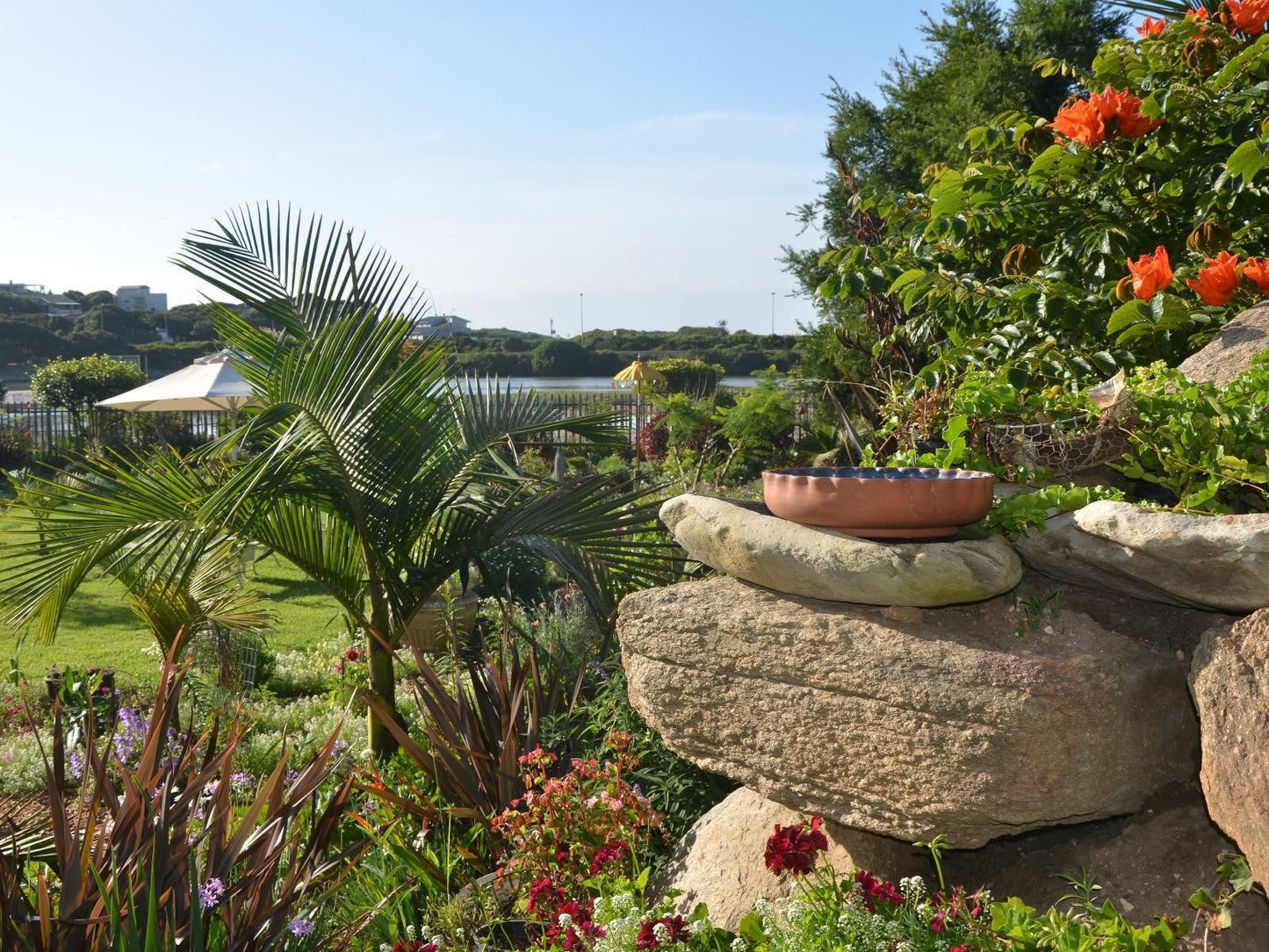 Serenity Ocean Lodge, Palm Tree, Plant, Nature, Wood, Garden