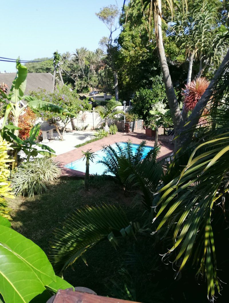 Serenity Too Freeland Park Scottburgh Kwazulu Natal South Africa Palm Tree, Plant, Nature, Wood, Garden, Swimming Pool