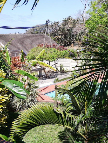 Serenity Cottage Freeland Park Scottburgh Kwazulu Natal South Africa House, Building, Architecture, Palm Tree, Plant, Nature, Wood, Garden