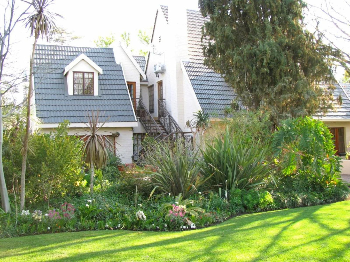 Serenity Green Guesthouse Welkom Free State South Africa House, Building, Architecture, Palm Tree, Plant, Nature, Wood, Garden