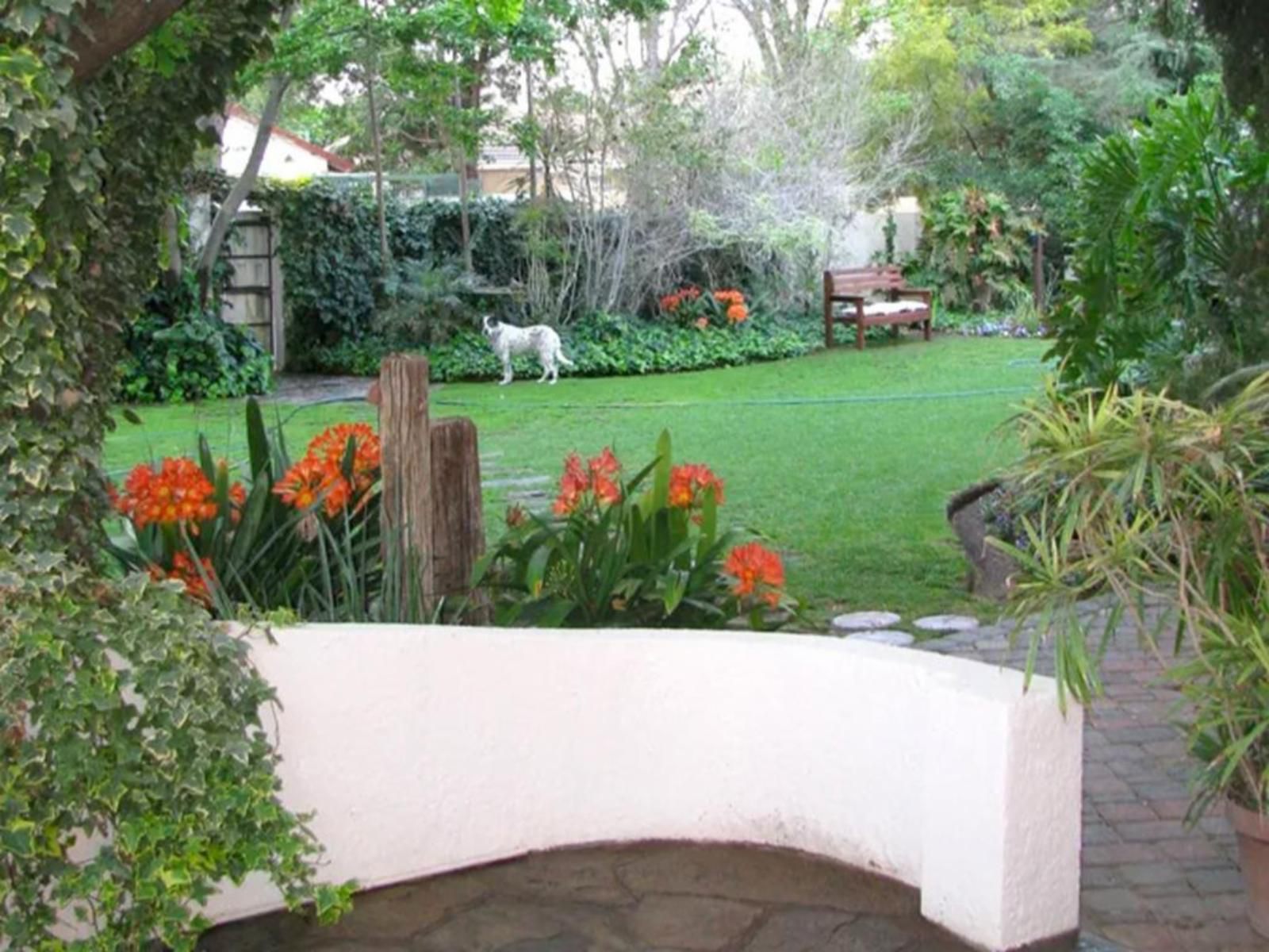 Serenity Green Guesthouse Welkom Free State South Africa Plant, Nature, Garden