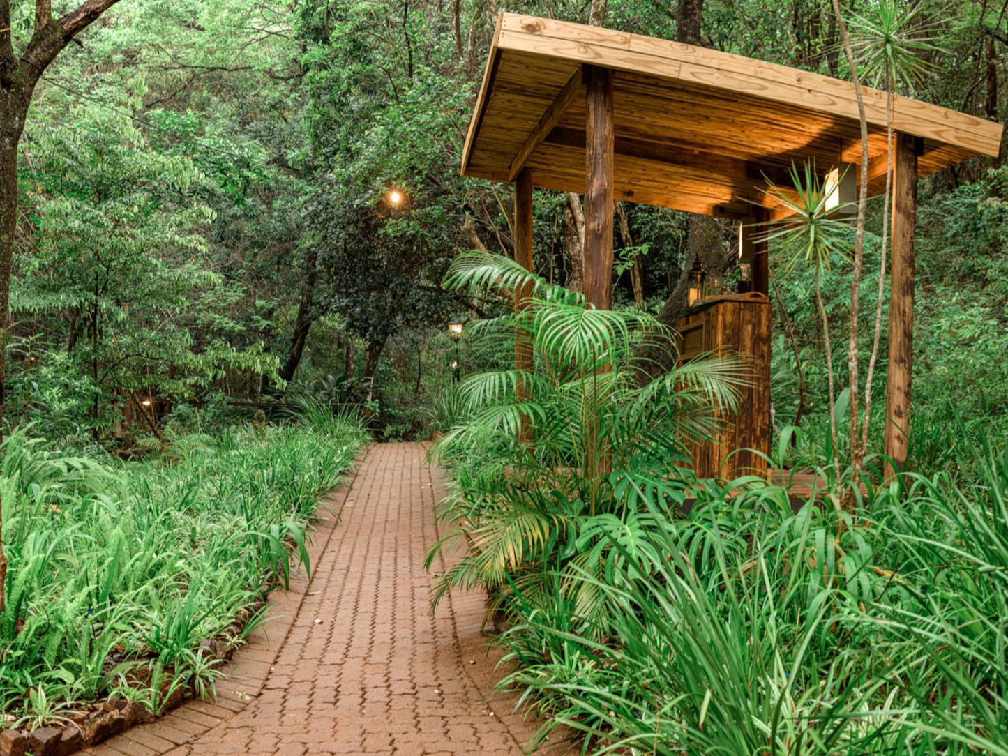 Serenity Mountain And Forest Lodge Malelane Mpumalanga South Africa Plant, Nature, Tree, Wood, Garden
