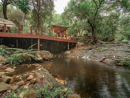 Serenity Mountain And Forest Lodge Malelane Mpumalanga South Africa River, Nature, Waters, Tree, Plant, Wood