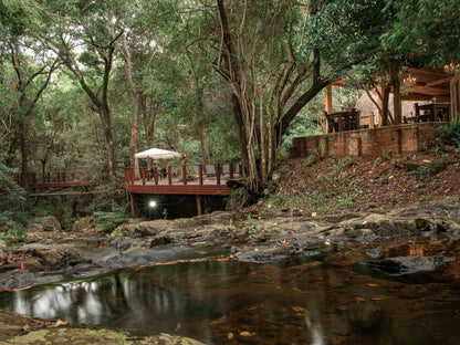 Serenity Mountain And Forest Lodge Malelane Mpumalanga South Africa River, Nature, Waters, Tree, Plant, Wood, Waterfall
