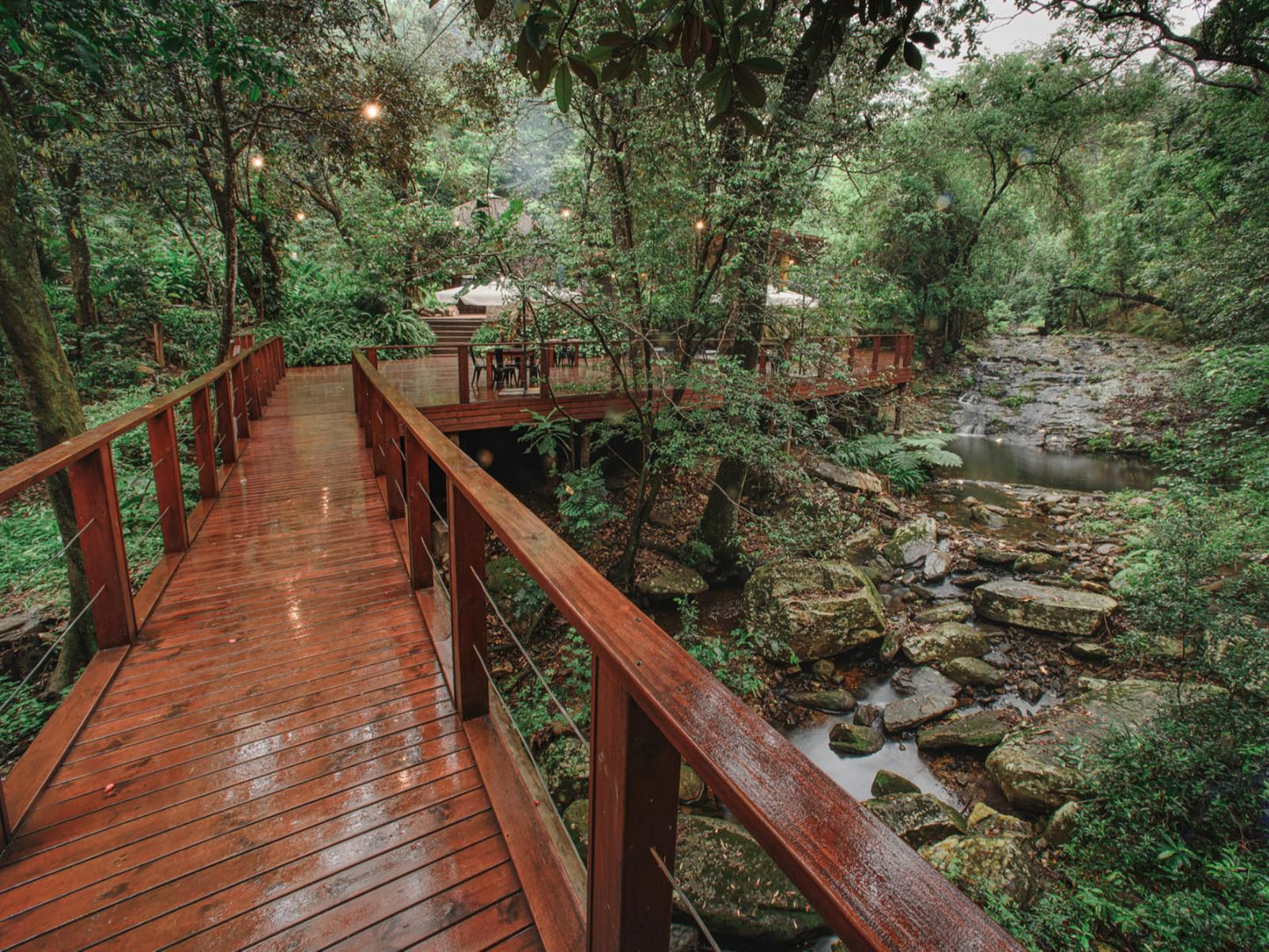 Serenity Mountain And Forest Lodge Malelane Mpumalanga South Africa River, Nature, Waters, Tree, Plant, Wood