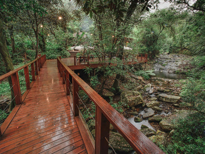 Serenity Mountain And Forest Lodge Malelane Mpumalanga South Africa River, Nature, Waters, Tree, Plant, Wood