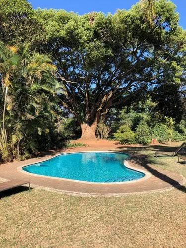 Seringa Lodge White River Mpumalanga South Africa Plant, Nature, Tree, Wood, Garden, Swimming Pool