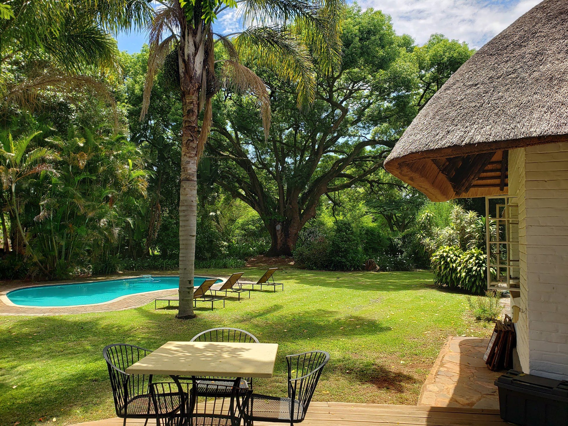 Seringa Lodge White River Mpumalanga South Africa Palm Tree, Plant, Nature, Wood, Garden