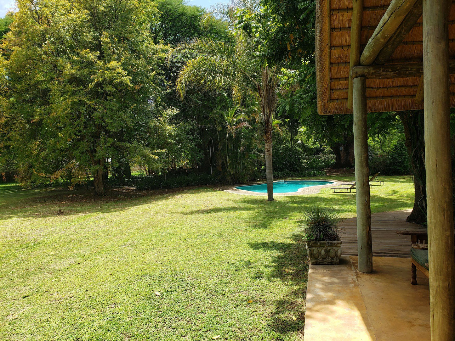 Seringa Lodge White River Mpumalanga South Africa Palm Tree, Plant, Nature, Wood, Garden, Swimming Pool