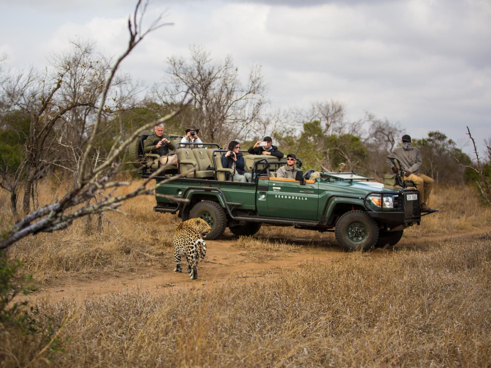 Serondella Safari Lodge, Face, Person, One Face, Soldier, Vehicle, Frontal Face