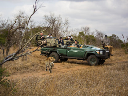 Serondella Safari Lodge, Face, Person, One Face, Soldier, Vehicle, Frontal Face