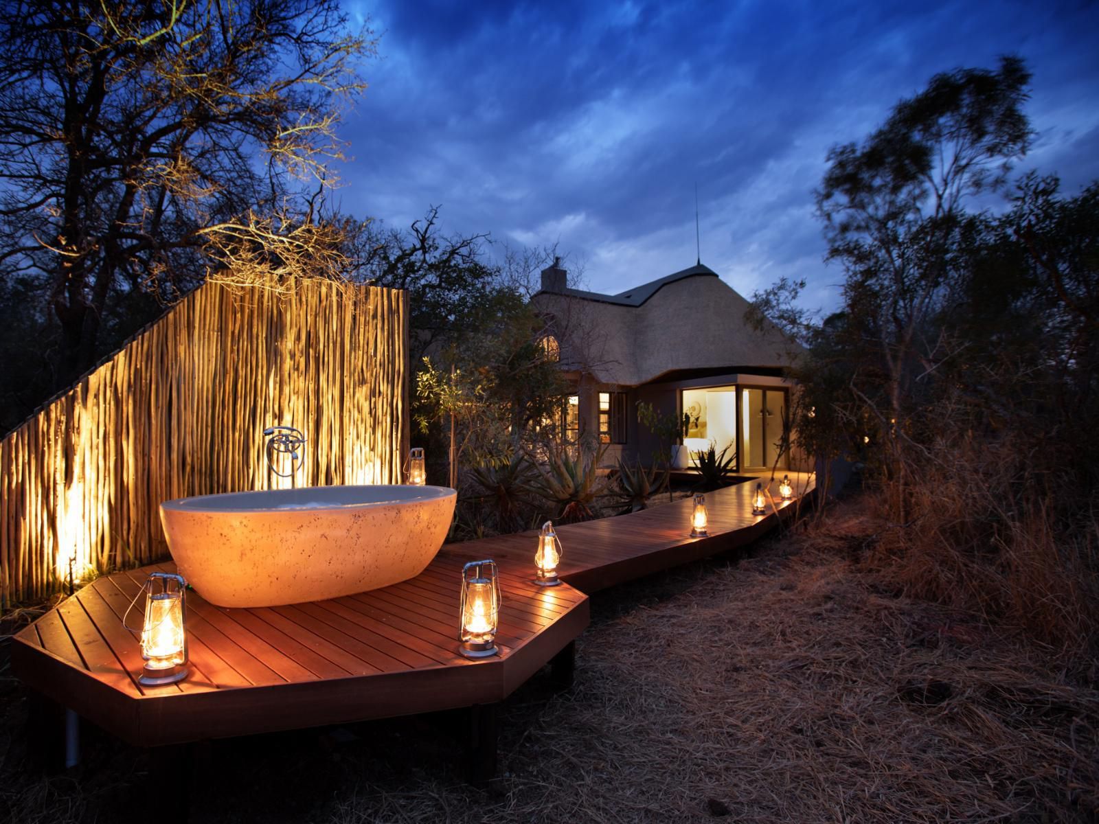 Serondella Lodge Thornybush Game Reserve Mpumalanga South Africa Complementary Colors