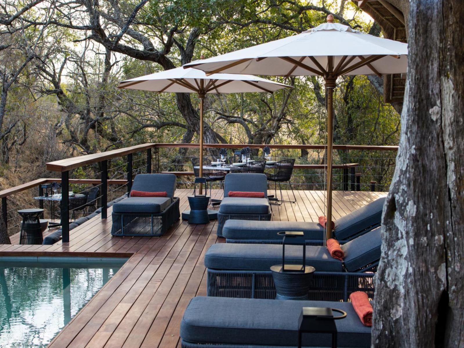 Serondella Lodge Thornybush Game Reserve Mpumalanga South Africa Bar, Swimming Pool