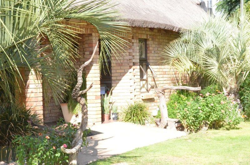 Setlhare Guest Lodge Ganyesa North West Province South Africa House, Building, Architecture, Palm Tree, Plant, Nature, Wood, Garden