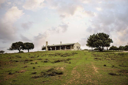 Settlers Rest Lodge Pumba Private Game Reserve Eastern Cape South Africa 