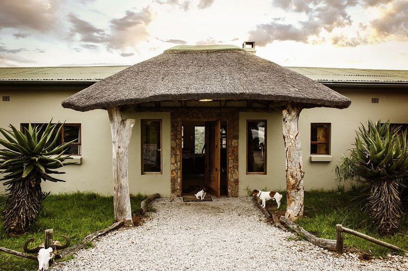 Settlers Rest Lodge Pumba Private Game Reserve Eastern Cape South Africa House, Building, Architecture