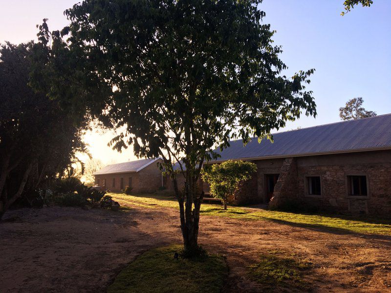 Seven Fountains Farm Grahamstown Eastern Cape South Africa Barn, Building, Architecture, Agriculture, Wood