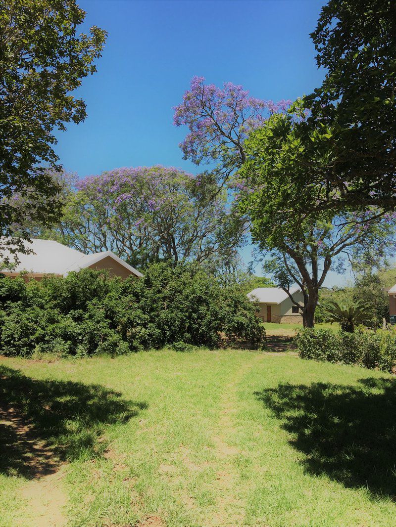 Seven Fountains Farm Grahamstown Eastern Cape South Africa Complementary Colors, Plant, Nature, Tree, Wood