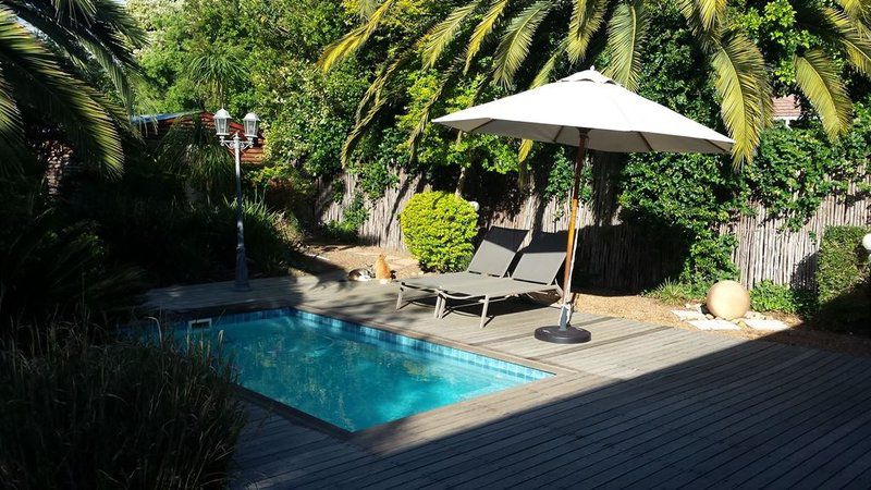 7 Penny Lane Cherrywood Gardens Somerset West Western Cape South Africa Palm Tree, Plant, Nature, Wood, Garden, Swimming Pool