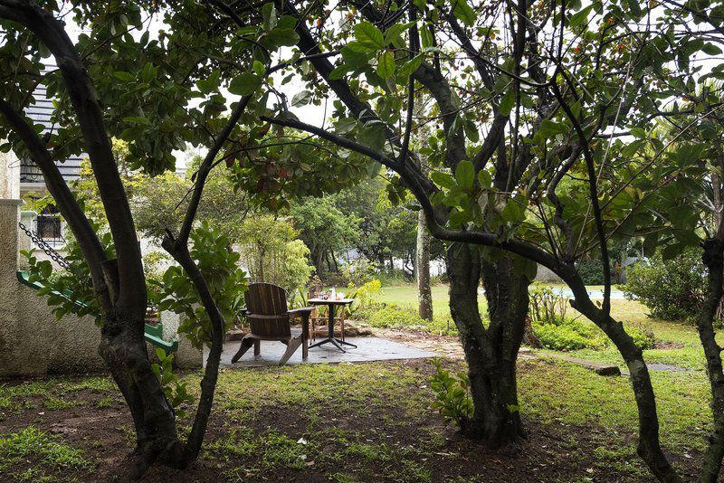 Seven Gables Walmer Port Elizabeth Eastern Cape South Africa Plant, Nature, Tree, Wood, Garden