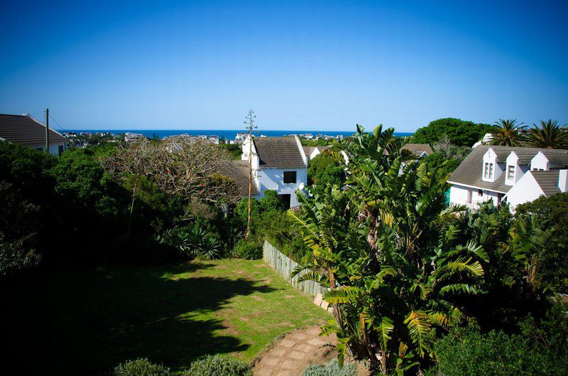 St Francis E S Cape St Francis Bay Eastern Cape South Africa Complementary Colors, Beach, Nature, Sand, Palm Tree, Plant, Wood