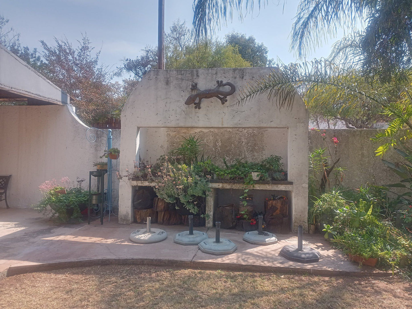 Shabelo Estate Kameelfontein Gauteng South Africa Palm Tree, Plant, Nature, Wood