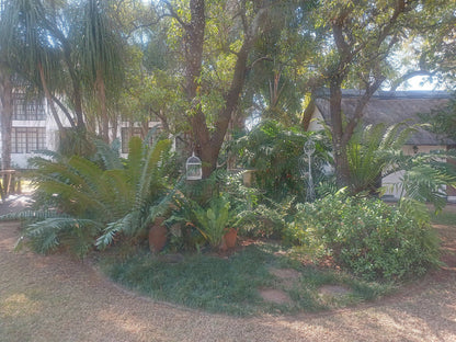 Shabelo Estate Kameelfontein Gauteng South Africa Unsaturated, Palm Tree, Plant, Nature, Wood, Garden