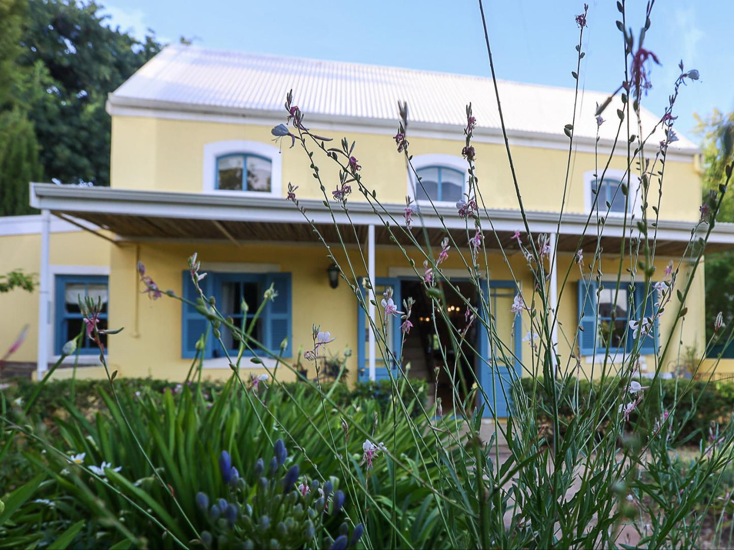 Shades Of Provence Riebeek Kasteel Western Cape South Africa Complementary Colors, House, Building, Architecture, Window