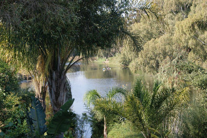 Shady Creek Cottage Bonnievale Western Cape South Africa Boat, Vehicle, Palm Tree, Plant, Nature, Wood, River, Waters