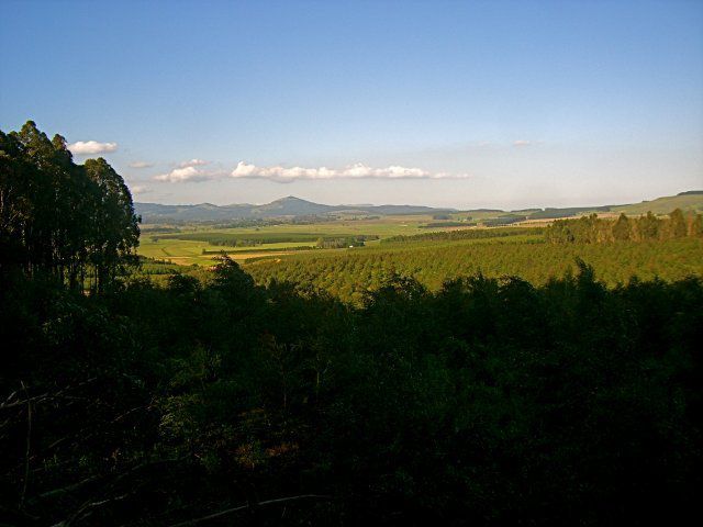 Shafton Grange Howick Kwazulu Natal South Africa Field, Nature, Agriculture, Tree, Plant, Wood, Lowland