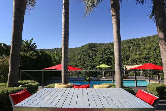 Shangri La Manor Wilderness Western Cape South Africa Palm Tree, Plant, Nature, Wood, Swimming Pool
