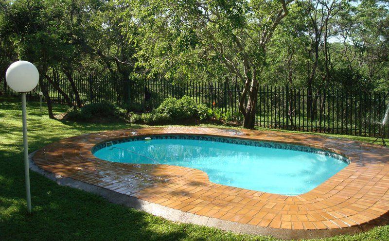 Shakati Private Game Reserve Vaalwater Limpopo Province South Africa Garden, Nature, Plant, Swimming Pool