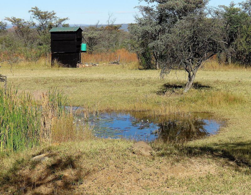 Shakati Private Game Reserve Vaalwater Limpopo Province South Africa Lowland, Nature