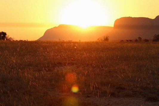 Shakawe Private Game Reserve Vaalwater Limpopo Province South Africa Sepia Tones, Field, Nature, Agriculture, Sky, Sunset