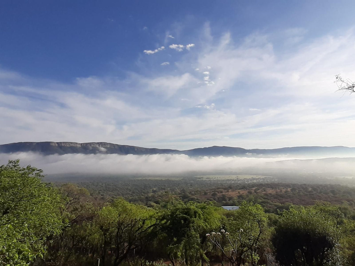 Shamba Yetu Mountain Lodge, Nature