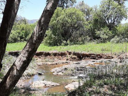 Shamba Yetu Mountain Lodge, River, Nature, Waters