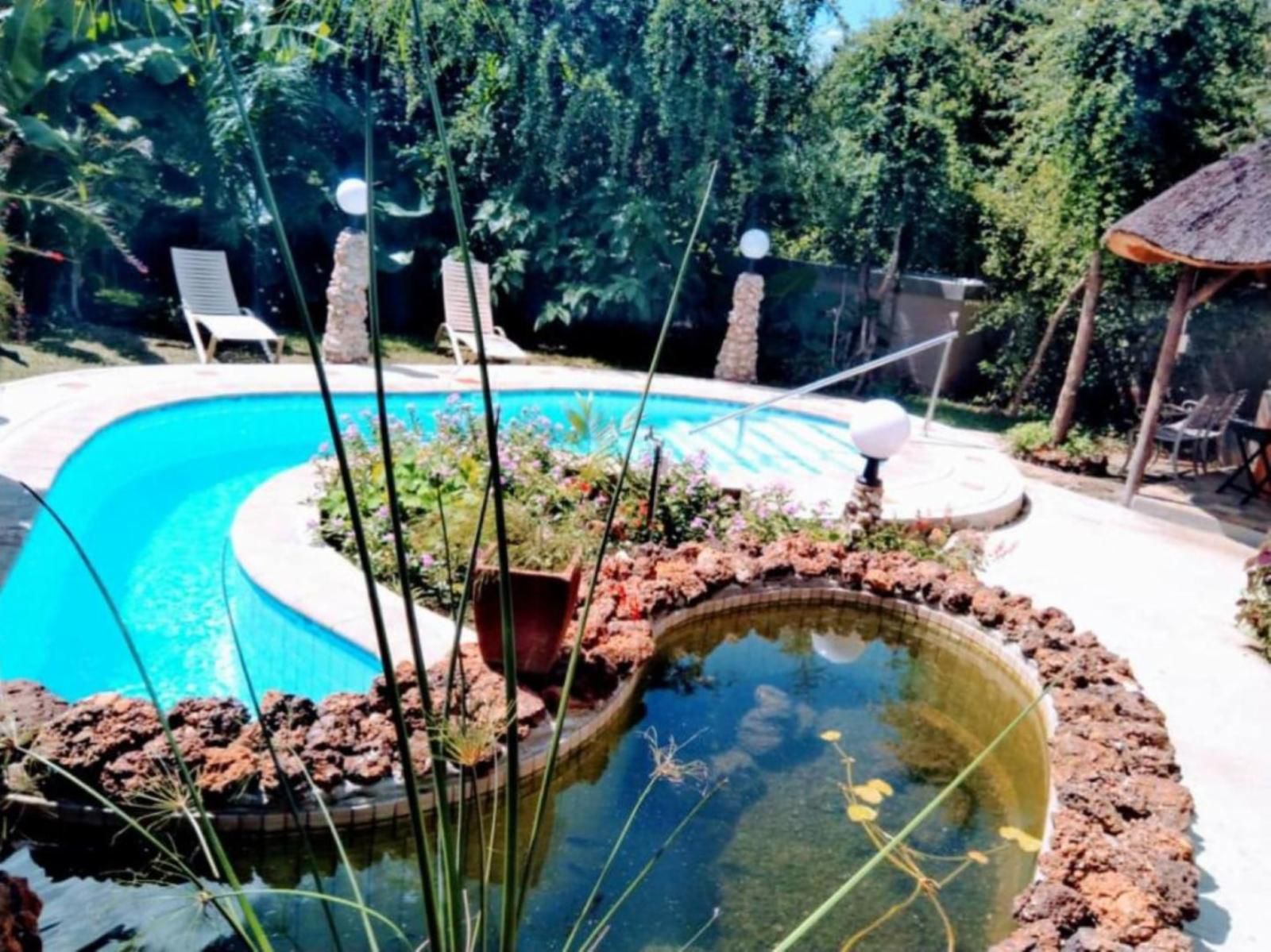 Shametu River Lodge, Garden, Nature, Plant, Swimming Pool