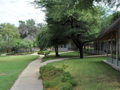 Shametu River Lodge, Plant, Nature