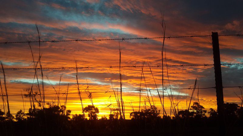 Shammah Guest Farm Arlington Fs Free State South Africa Power Line, Technology, Sky, Nature, Sunset