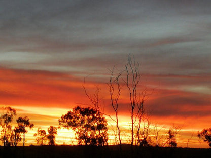 Shammah Guest Farm Arlington Fs Free State South Africa Sky, Nature, Sunset