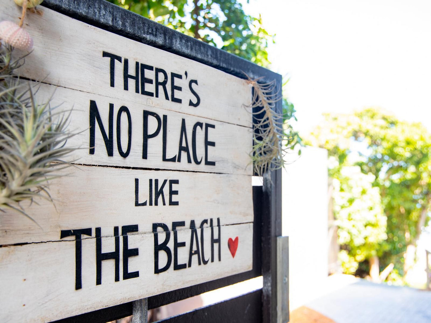 Shan C Wilderness Western Cape South Africa Beach, Nature, Sand, Sign