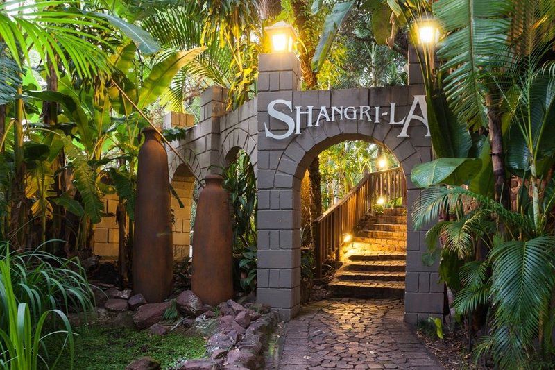 Shangri La Country Hotel Modimolle Nylstroom Limpopo Province South Africa Palm Tree, Plant, Nature, Wood