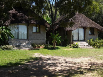 Shankara Rest Camp, House, Building, Architecture, Palm Tree, Plant, Nature, Wood