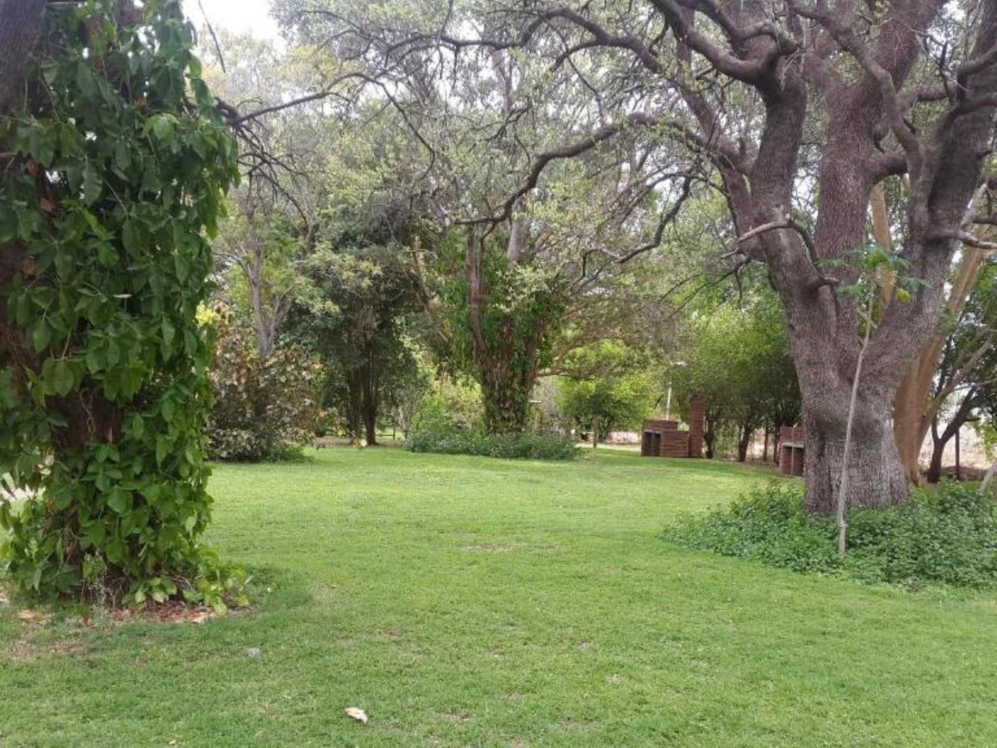 Shankara Rest Camp, Plant, Nature, Tree, Wood