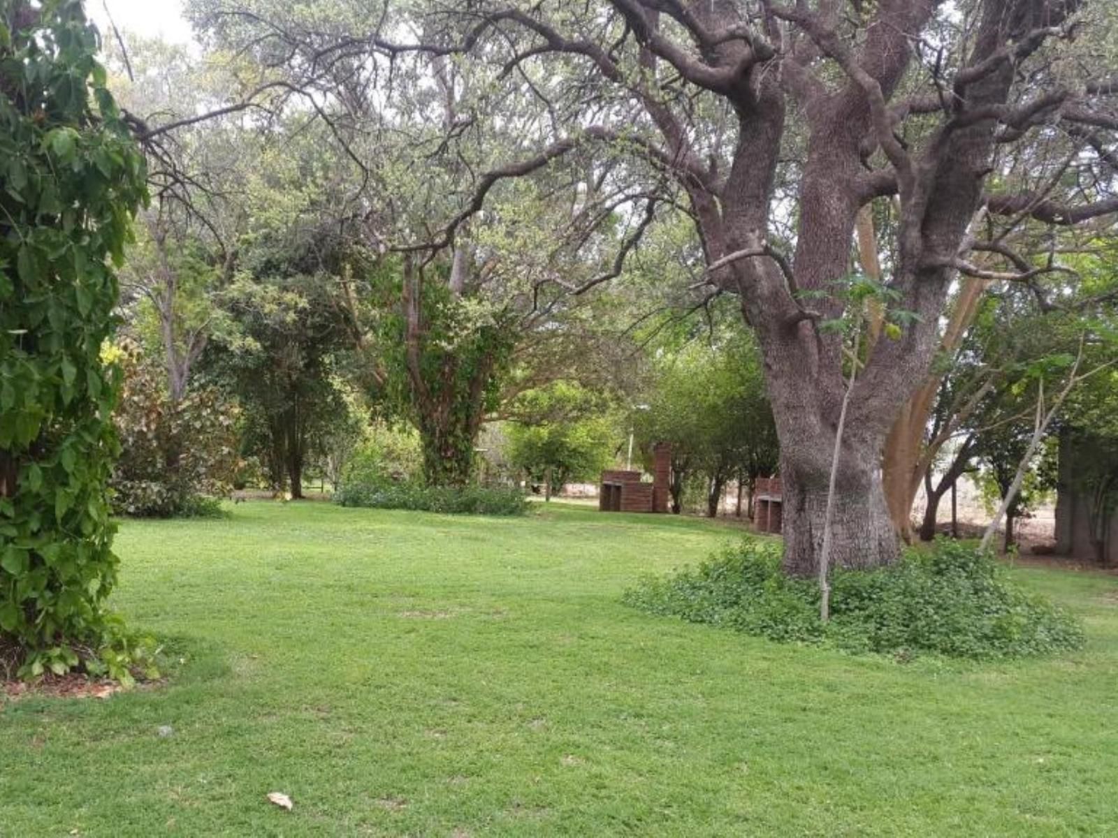 Shankara Rest Camp, Campsites, Plant, Nature, Tree, Wood