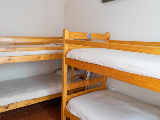 Bed in Dormitory Rooms @ Shark Shack Backpackers