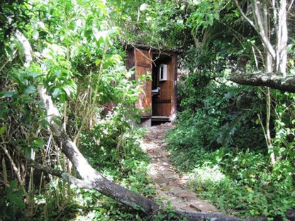 Sharks Point Cabins Mpande Eastern Cape South Africa Cabin, Building, Architecture, Forest, Nature, Plant, Tree, Wood